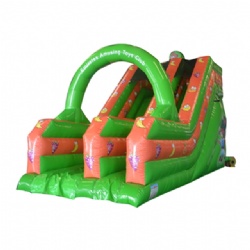 Inflatable Slide With Printing For Commercial Use