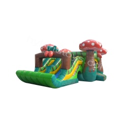 Strawberry Combo Inflatable Bouncer with Slide